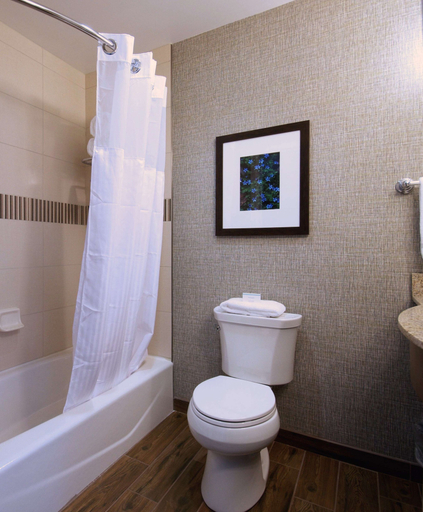 Bathroom 5, Hilton Garden Inn Hickory, Catawba