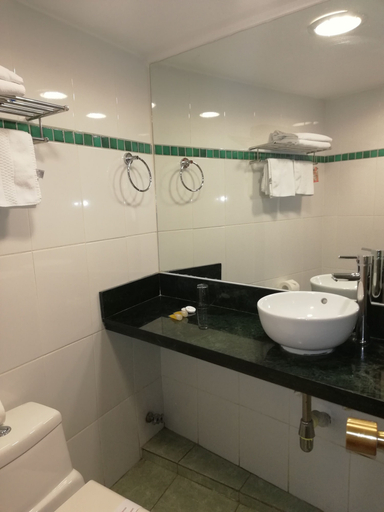 Bathroom 5, Hotel Montecarlo, Santiago