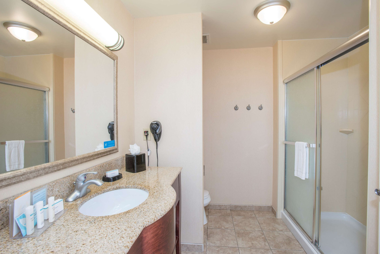 Bathroom 4, Hampton Inn & Suites Dayton-Airport, Montgomery