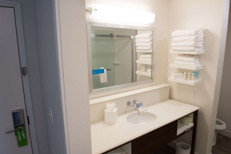 Bathroom 3, Hampton Inn & Suites Bay City, Bay