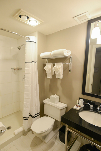 Bathroom 4, Magnolia Hotel St. Louis, a Tribute Portfolio Hotel, Saint Louis