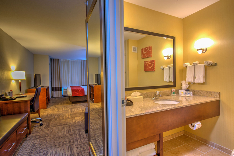 Bathroom 5, Comfort Suites Urbana Champaign, University Area, Champaign