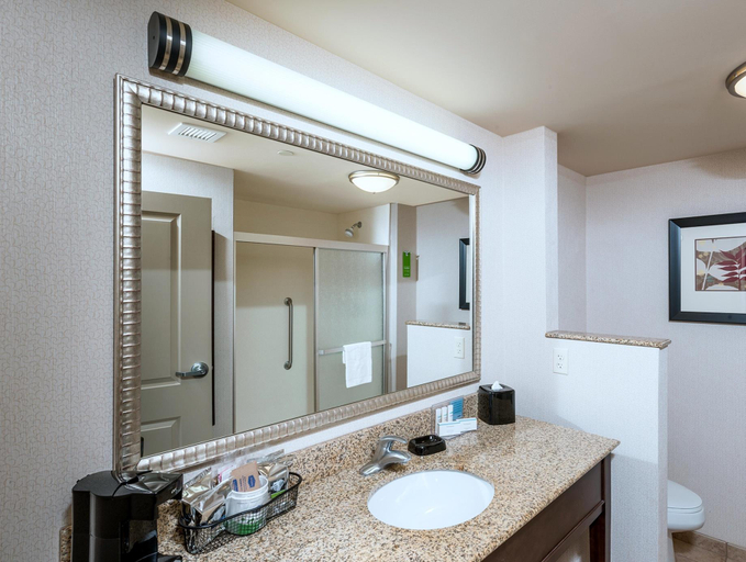Bathroom, Hampton Inn Bath (Brunswick Area), Sagadahoc