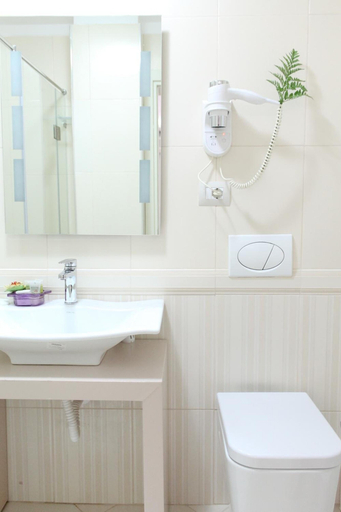 Bathroom 3, Hotel Vila Verde City Center, Tiranës
