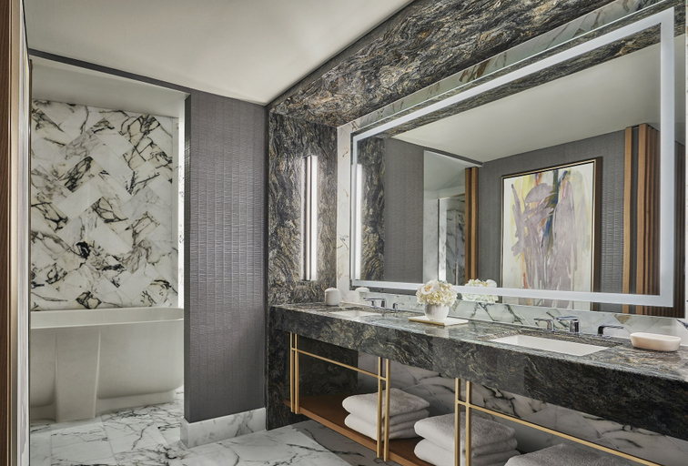 Bathroom 5, Four Seasons Hotel Austin, Travis