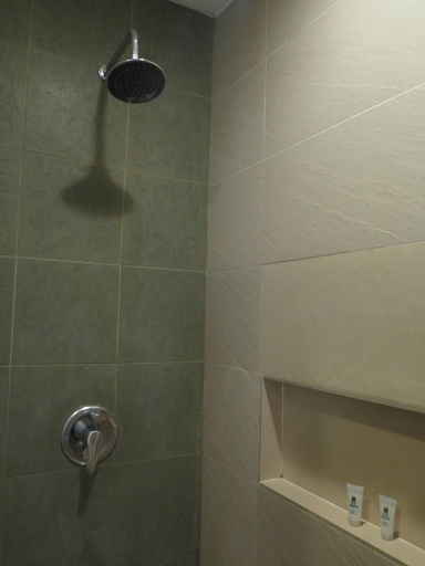 Bathroom 4, The Ritz Hotel at Garden Oases, Davao City