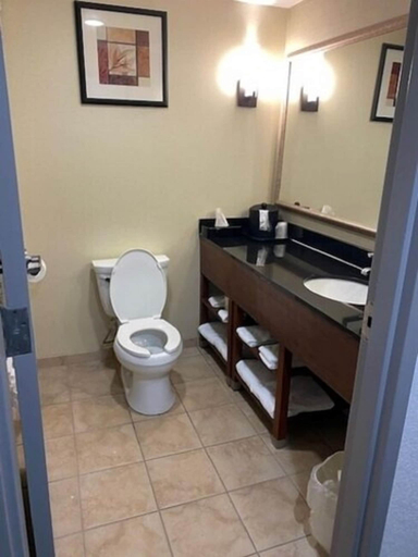 Bathroom 4, Comfort Suites Salem-Roanoke I-81, Salem