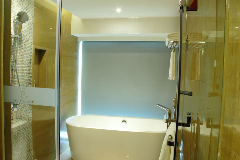 Bathroom 5, Sentosa Hotel Apartment Taoyuan Branch, Shenzhen