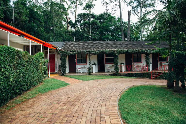 Exterior & Views 2, Tall Trees Motel, Tamborine Mountain