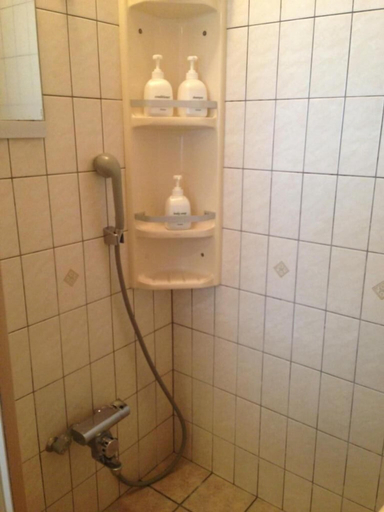 Bathroom 4, Hotel Bell Harmony Ishigakiisland, Ishigaki