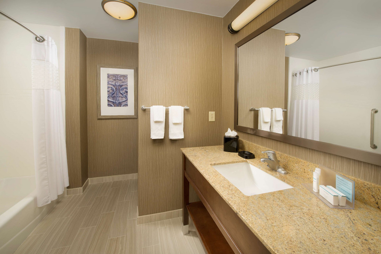 Bathroom 5, Hampton Inn & Suites San Antonio-Downtown/Market Square, Bexar