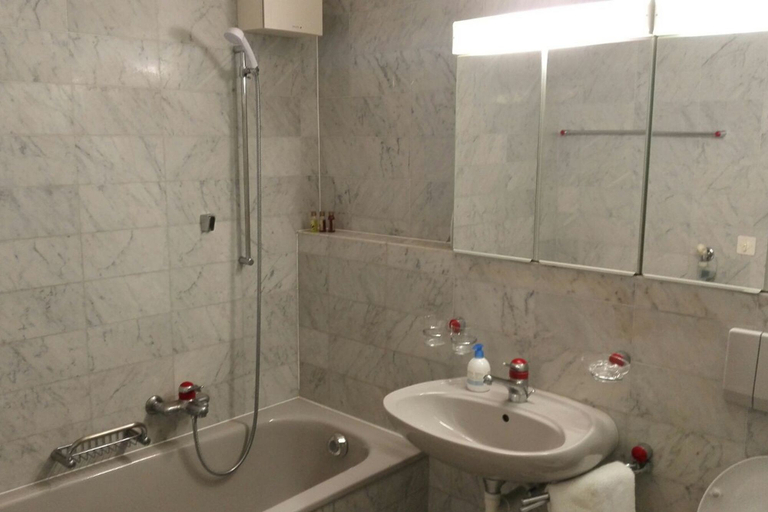 Bathroom 4, Les Galeries Marval, Neuchâtel