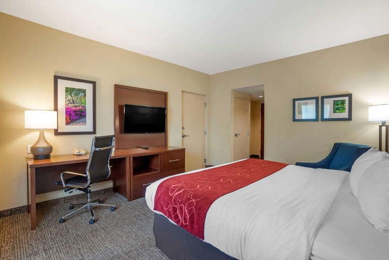 Bedroom 3, Comfort Suites Fredericksburg North, Stafford