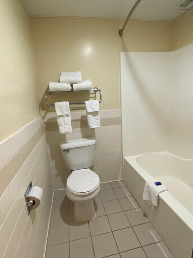 Bathroom 4, American Inn and Suites, Dubuque