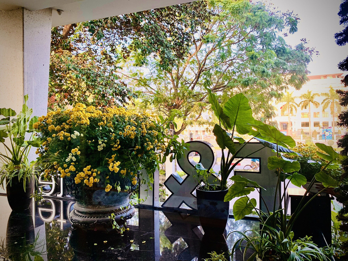 Others 5, F&F Hotel, Hải An