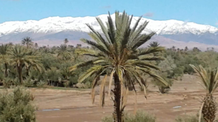 Others 5, Kasbah dar dmana, Ouarzazate