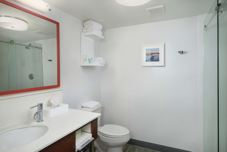 Bathroom 4, Hampton Inn Beaumont, Jefferson
