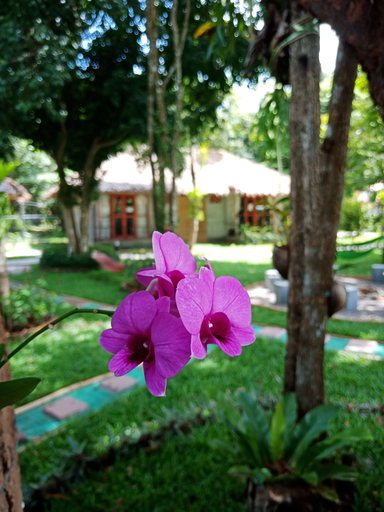 Others 4, Blanco Hostel at Lanta, Ko Lanta