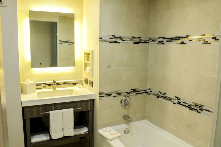Bathroom 4, Hampton Inn & Suites by Hilton Aguascalientes Airport, Aguascalientes