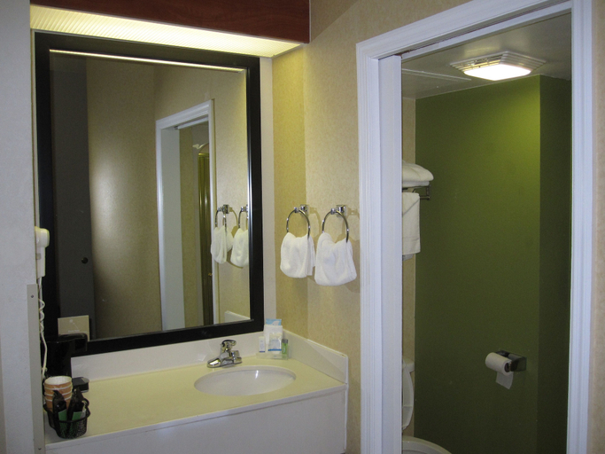Bathroom 4, Sleep Inn Murfreesboro Shopping District, Rutherford