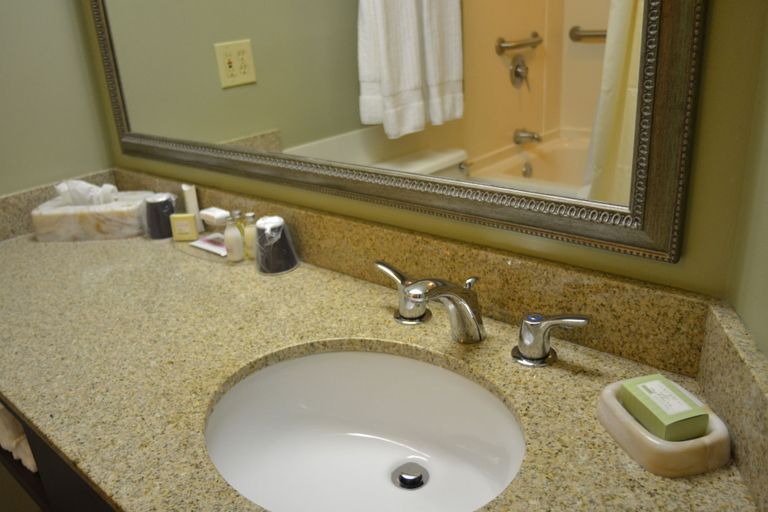 Bathroom 4, Euro Suites Hotel, Monongalia