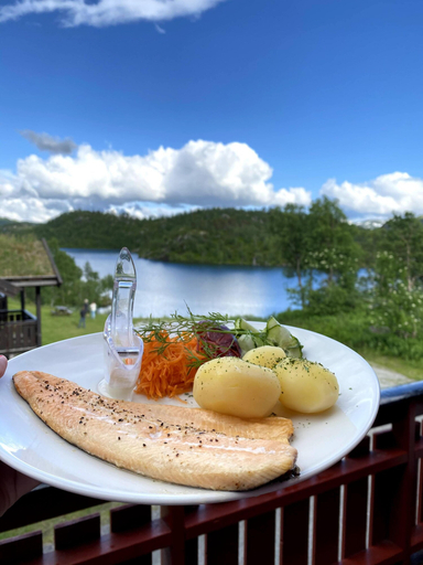 Food & Drinks 3, Vågslidtun Hotell, Vinje