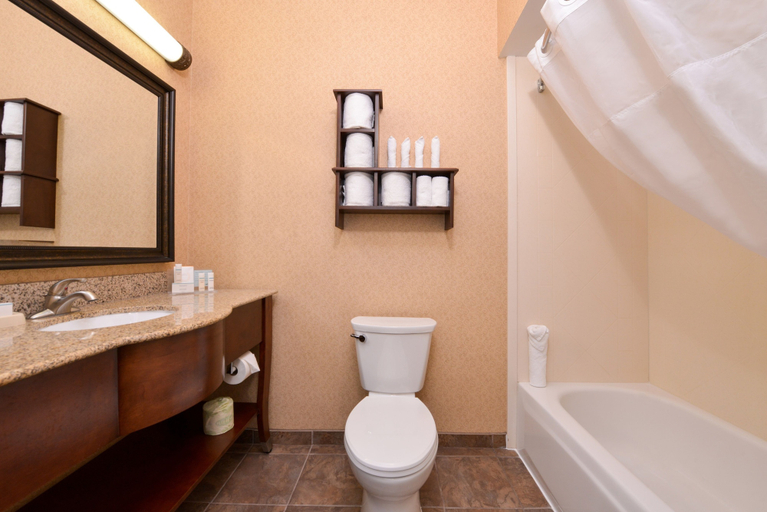 Bathroom 4, Hampton Inn Elkhart IN, Elkhart