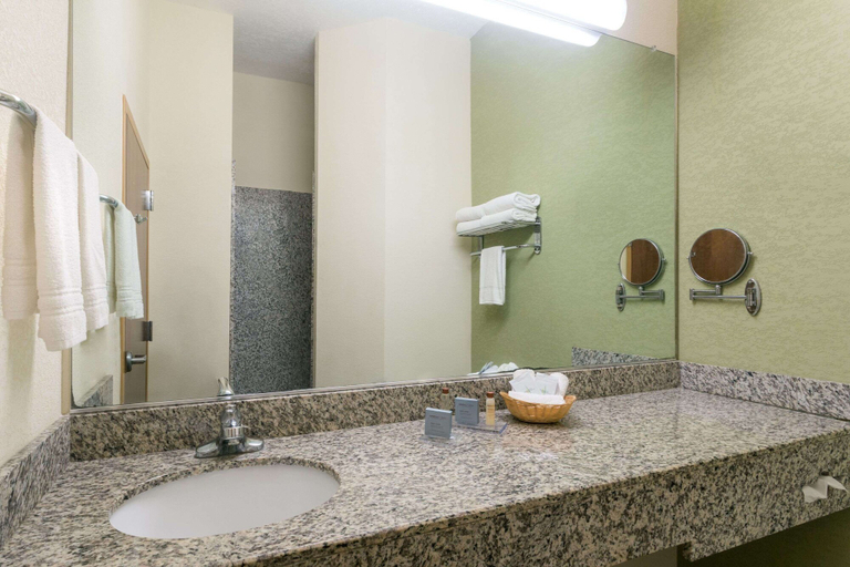 Bathroom 3, Hawthorn Extended Stay by Wyndham Kingsland, Camden