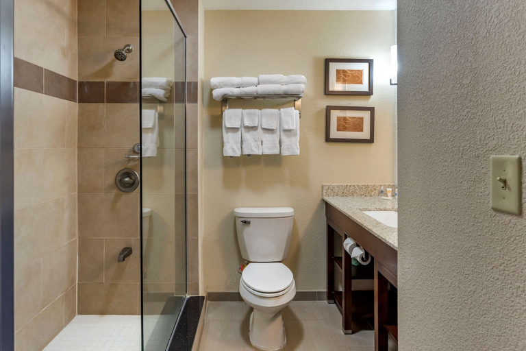 Bathroom 4, Comfort Suites Batesville, Panola