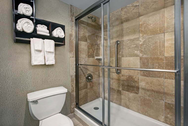 Bathroom 4, Hampton Inn Greenville I-385 - Woodruff Rd., Greenville