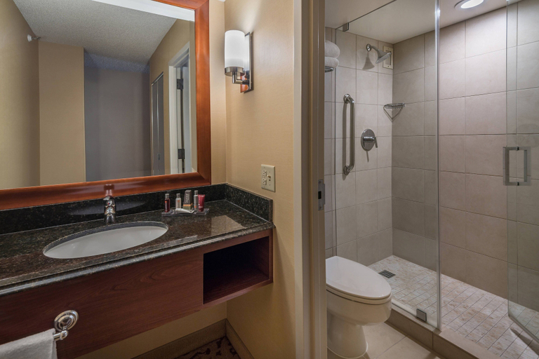Bathroom 5, Provo Marriott Hotel & Conference Center, Utah