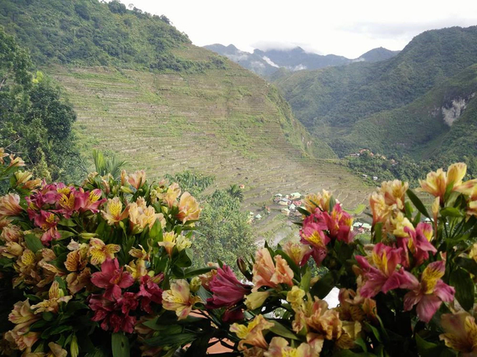 Others 5, Batad View Inn and Restaurant, Banaue