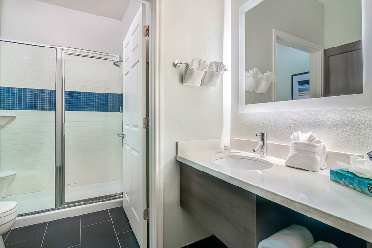 Bathroom 2, Staybridge Suites TYLER UNIVERSITY AREA, Smith