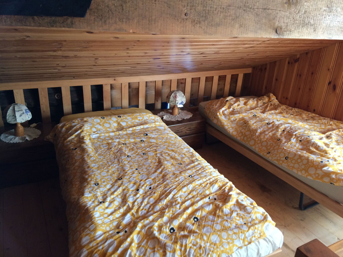 Room 4, 300 Year Old Chalet Interlaken, Interlaken