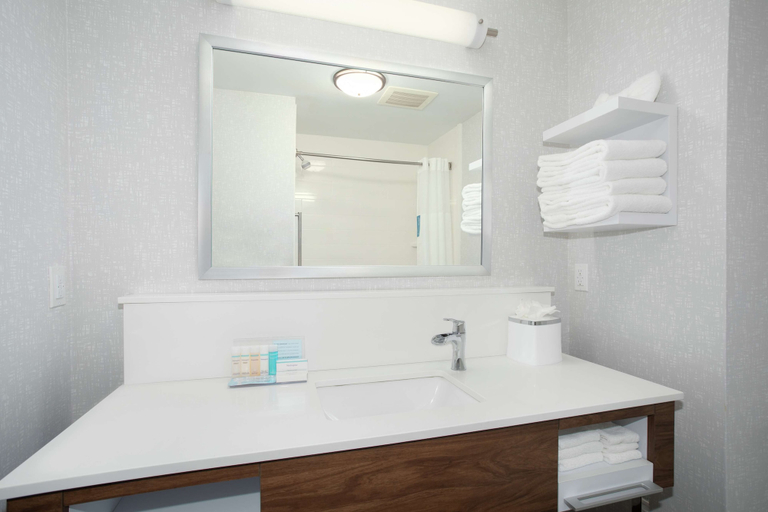 Bathroom 4, Hampton Inn Bellevue, Sarpy