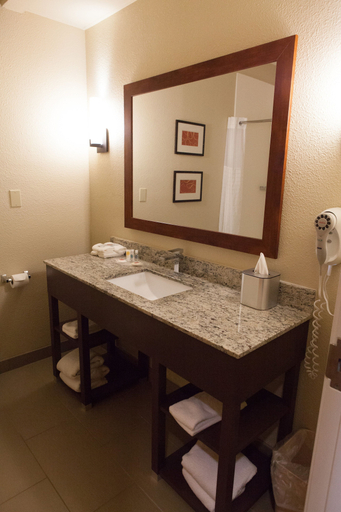 Bathroom 4, Comfort Suites Hattiesburg near University, Lamar