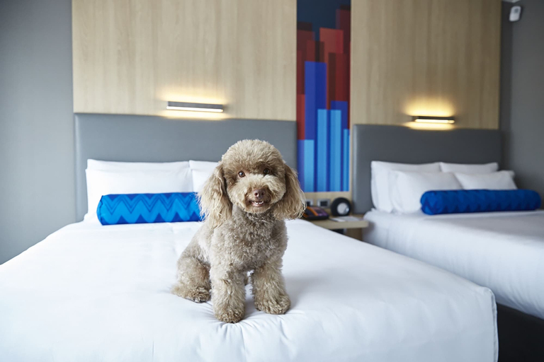 Bedroom 3, Aloft by Marriott Lima Miraflores, Lima
