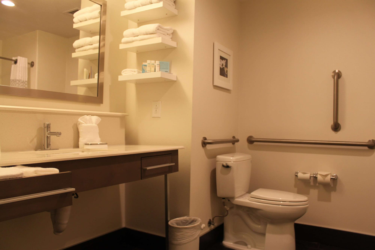 Bathroom 4, Hampton Inn Bainbridge, Decatur