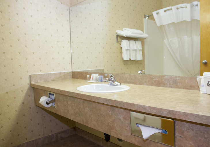 Bathroom 4, Days Inn & Suites by Wyndham Brooks, Division No. 2