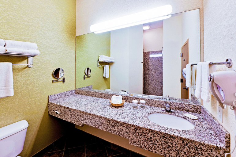 Bathroom 3, Hawthorn Extended Stay by Wyndham Kingsland Kings Bay Naval, Camden