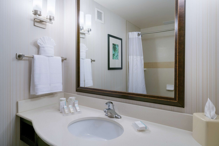 Bathroom 4, Hilton Garden Inn Valley Forge/Oaks, Montgomery