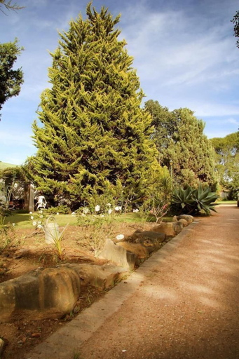 Others 5, Fynbos Guesthouse Riversdale, Eden