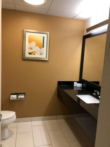 Bathroom 5, Quality Inn & Suites Sandusky, Erie