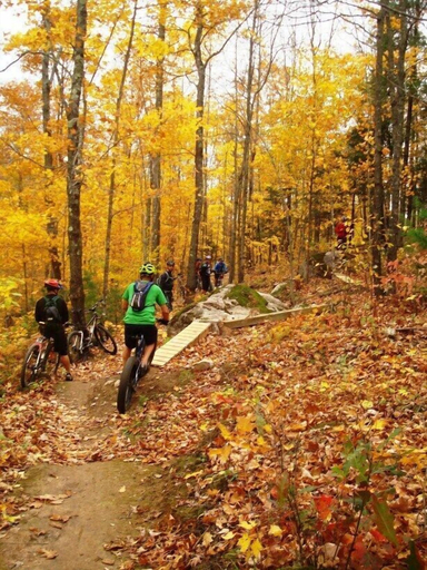 Others 4, Lakewoods Resort & Lodge, Bayfield