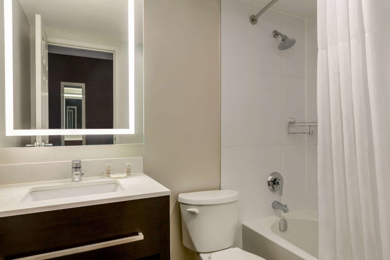Bathroom 5, Days Inn by Wyndham Toronto West Mississauga, Peel