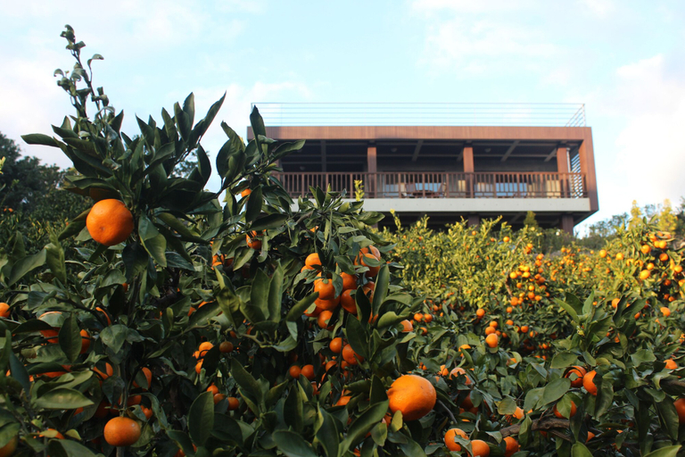 Exterior & Views 2, Jejueco Suites, Seogwipo