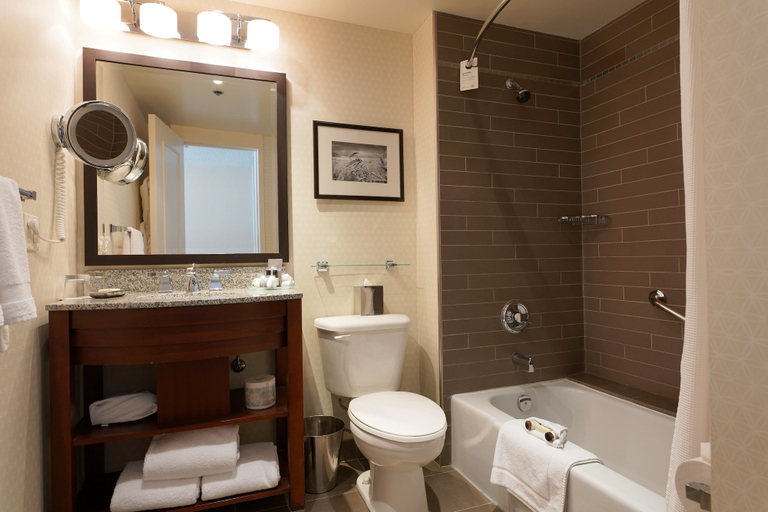 Bathroom 5, The Fairmont Winnipeg, Division No. 11