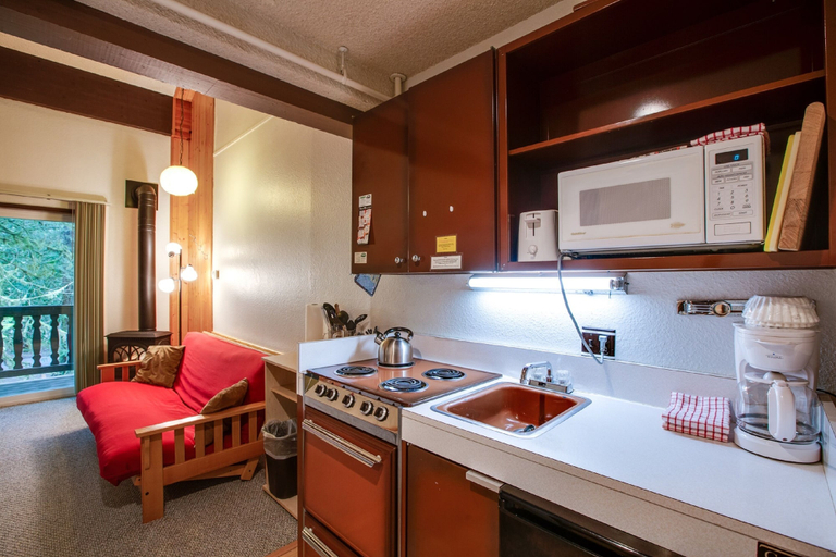 Others 5, 56SLL - Fireplace - Inexpensive - Kitchenette - Sleeps 4, Whatcom