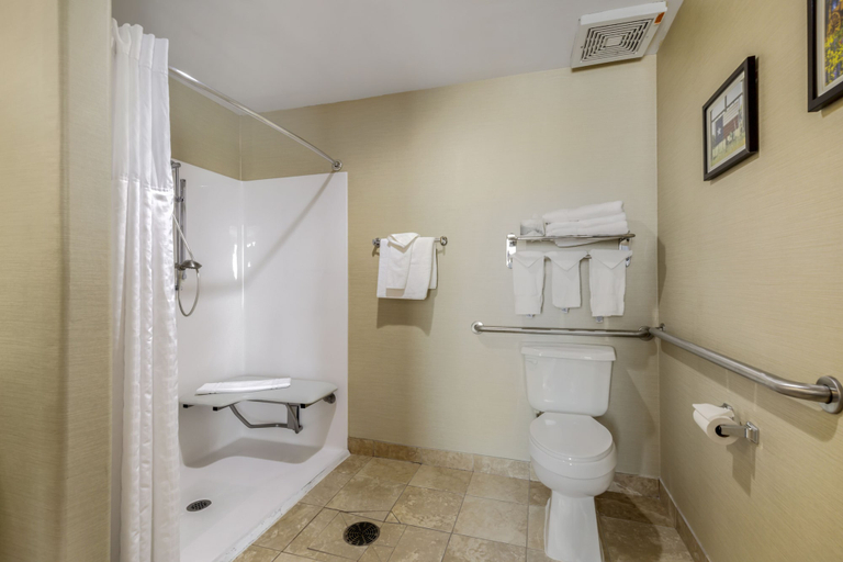 Bathroom 4, Comfort Suites Pflugerville - Austin North, Travis