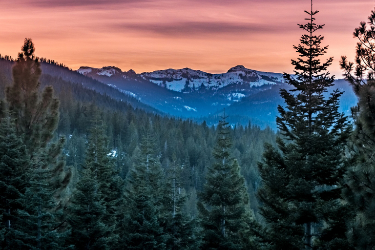 Others 5, Donner Lake Delight, Nevada